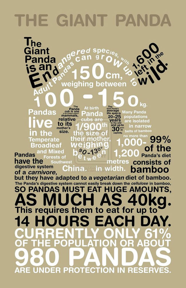 圖像和文本在網(wǎng)站設(shè)計中哪個更重要？(圖1)