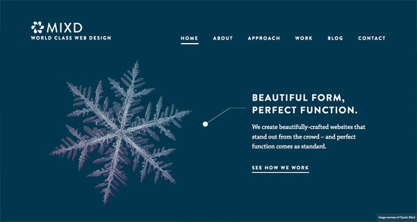 大道至簡！欣賞18款極簡設(shè)計風(fēng)格的網(wǎng)站(圖11)